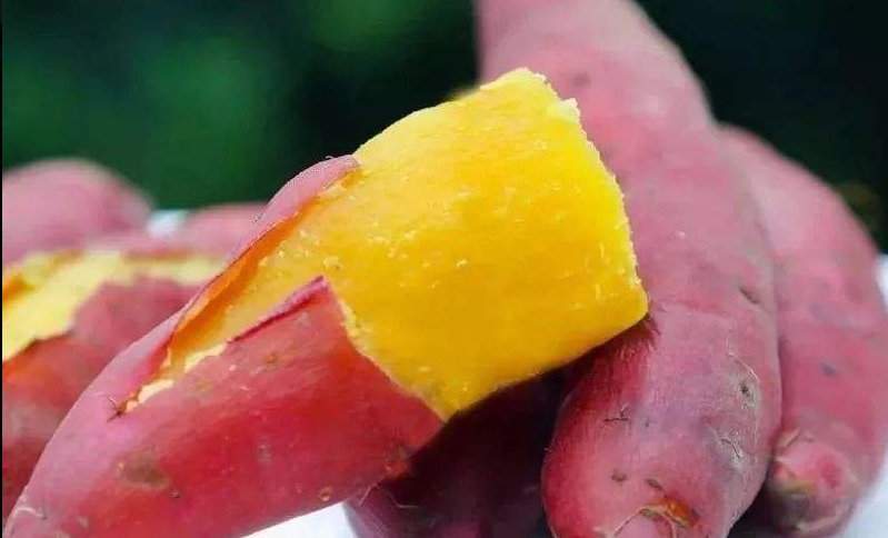 补硒后会变瘦吗(补硒会增加食欲吗)-硒宝网