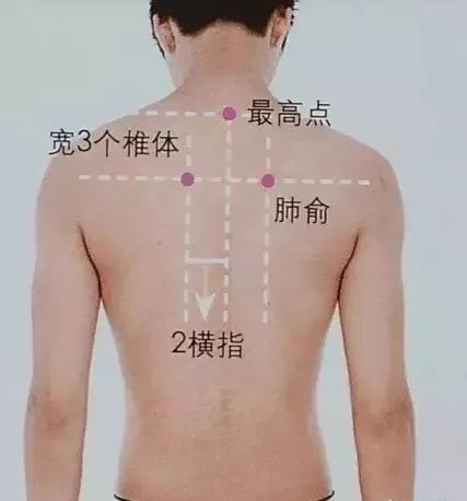 熟南瓜籽补硒吗(南瓜子富含硒元素)-硒宝网