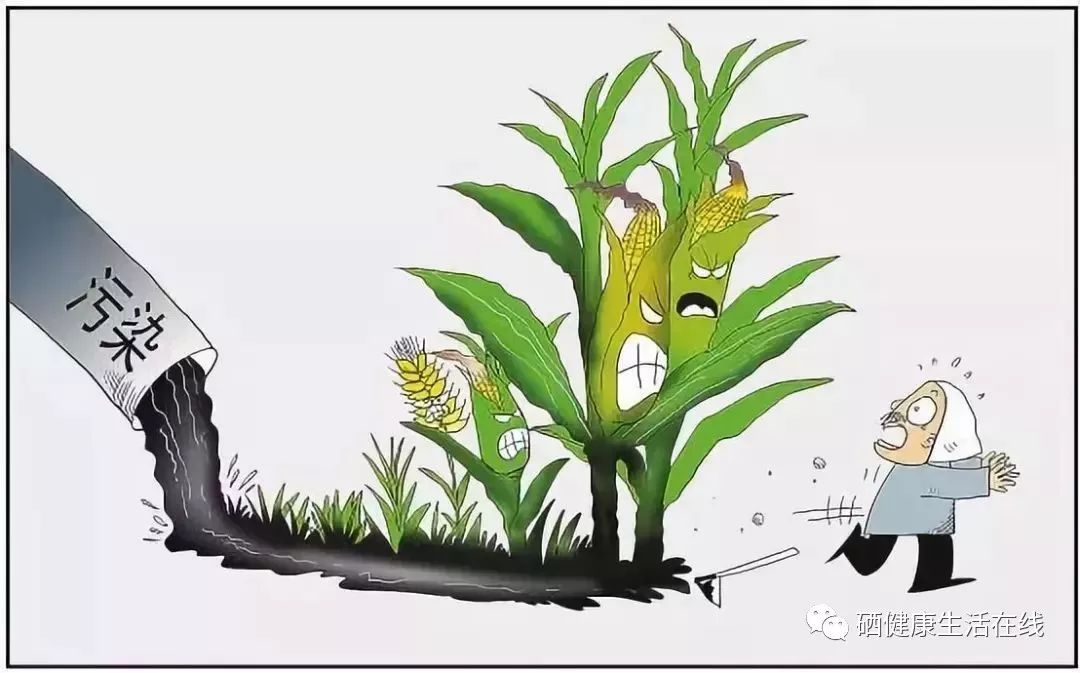 人要终身补硒吗（终身补硒人要吃多久药）-硒宝网