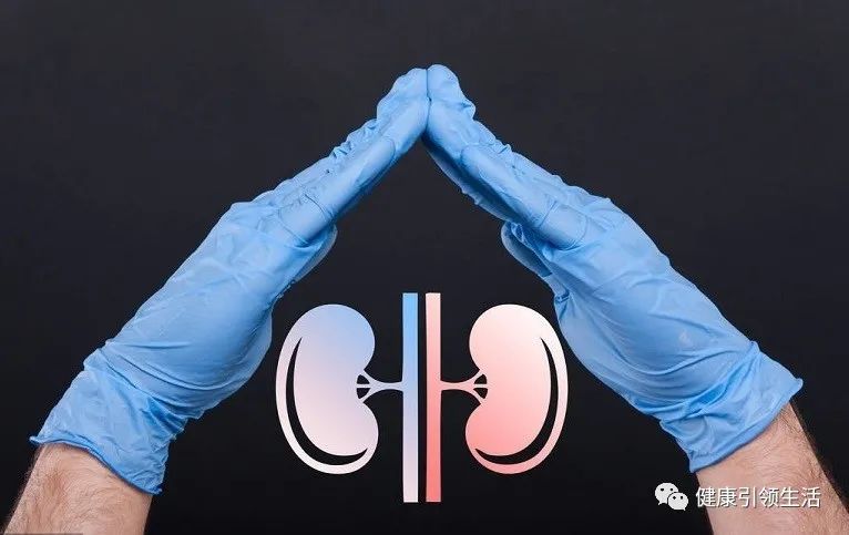 补硒对肾病好吗(吃硒对肾有什么好处)-硒宝网