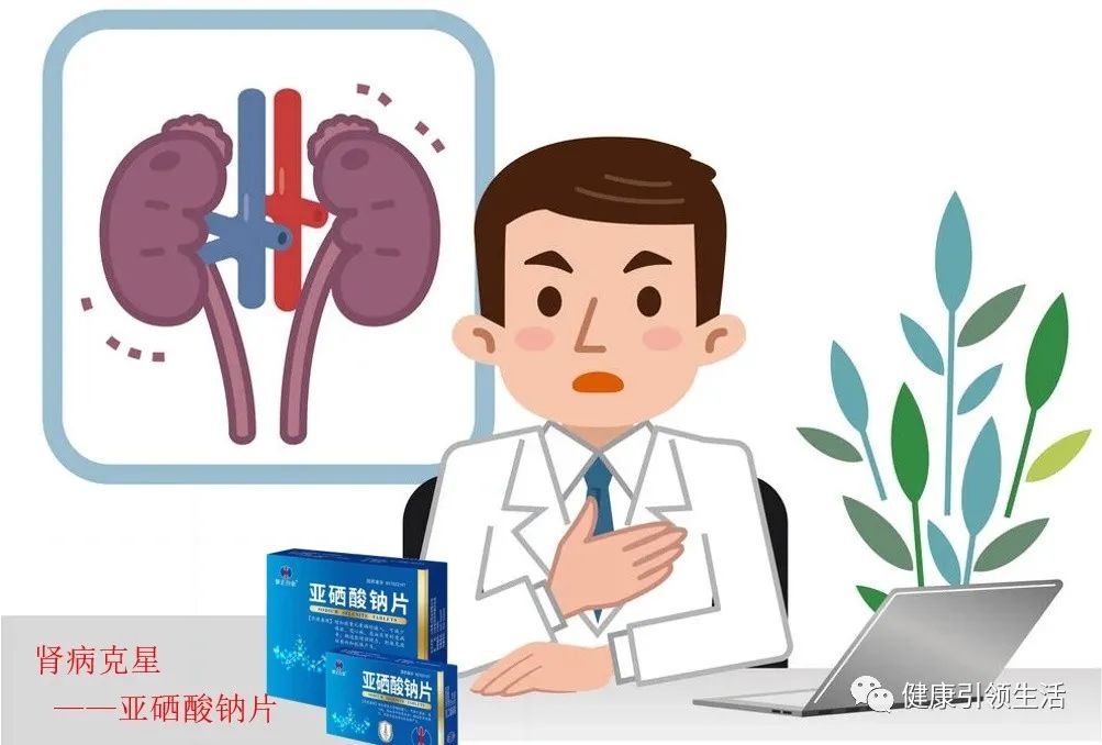 补硒对肾病好吗(吃硒对肾有什么好处)-硒宝网