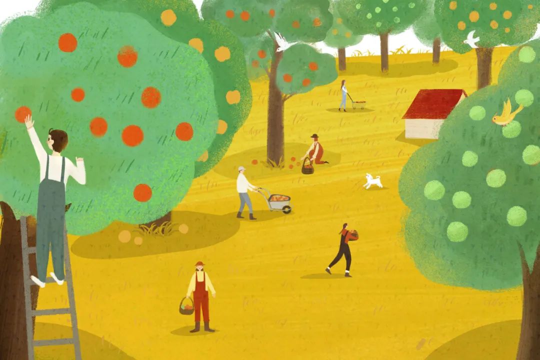 熟南瓜籽补硒吗（南瓜籽含硒高吗）-硒宝网