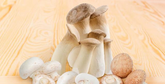 给鸡补硒的实验（蛋鸡补硒）-硒宝网