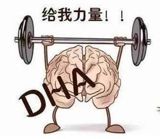 钙硒可以同补吗(硒能补钙吗)-硒宝网