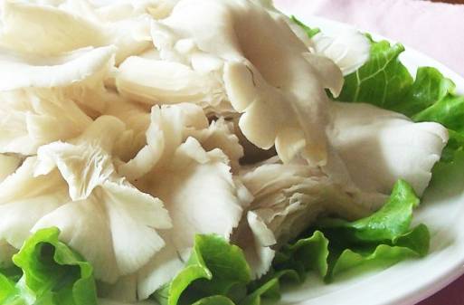 防癌抗衰话补硒（硒抗癌防癌）-硒宝网