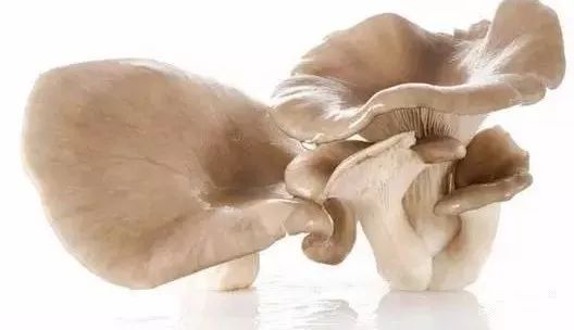 防癌抗衰话补硒（硒抗癌防癌）-硒宝网