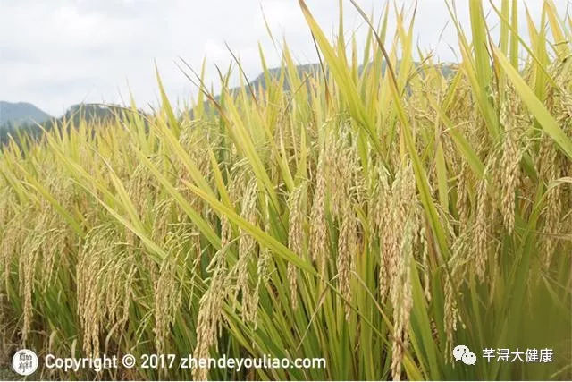 补硒能抗疲劳吗（多补充硒能改善视力吗）-硒宝网