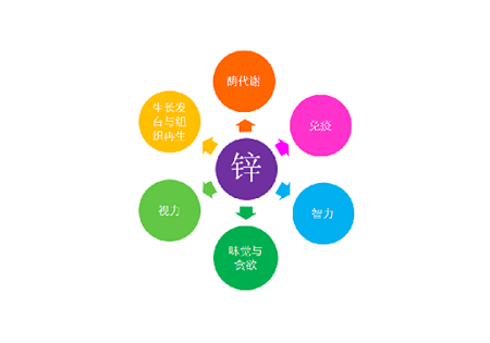 锌硒补的是哪里（补锌硒）-硒宝网