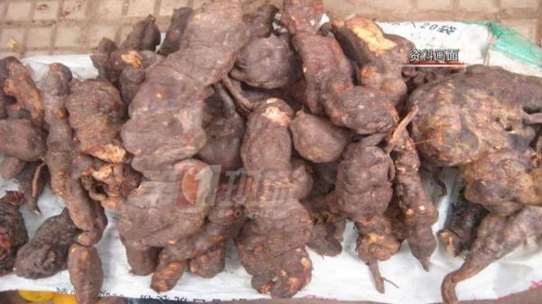 补硒后白发变黄（补硒能让白头发变黑吗）-硒宝网