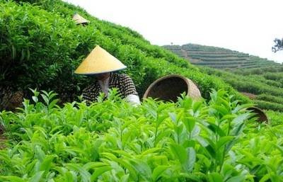 补硒可以保肝吗(补保肝硒可以吃多久)-硒宝网