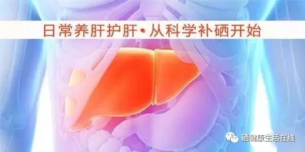 补硒会不会伤肝（硒对肝病有什么好处）-硒宝网