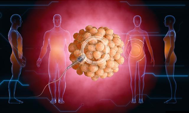 儿童补硒必要性（儿童需要补硒）-硒宝网