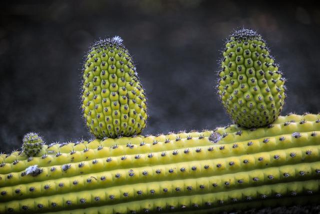儿童补硒必要性（儿童需要补硒）-硒宝网