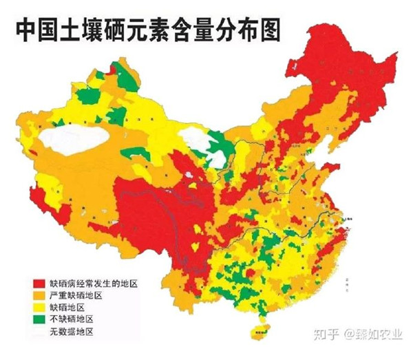 中国人科学补硒（科学补硒协会）-硒宝网