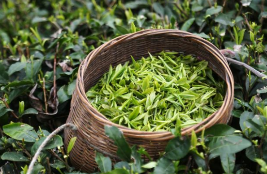 脑梗塞能补硒吗(脑梗补硒管用吗)-硒宝网