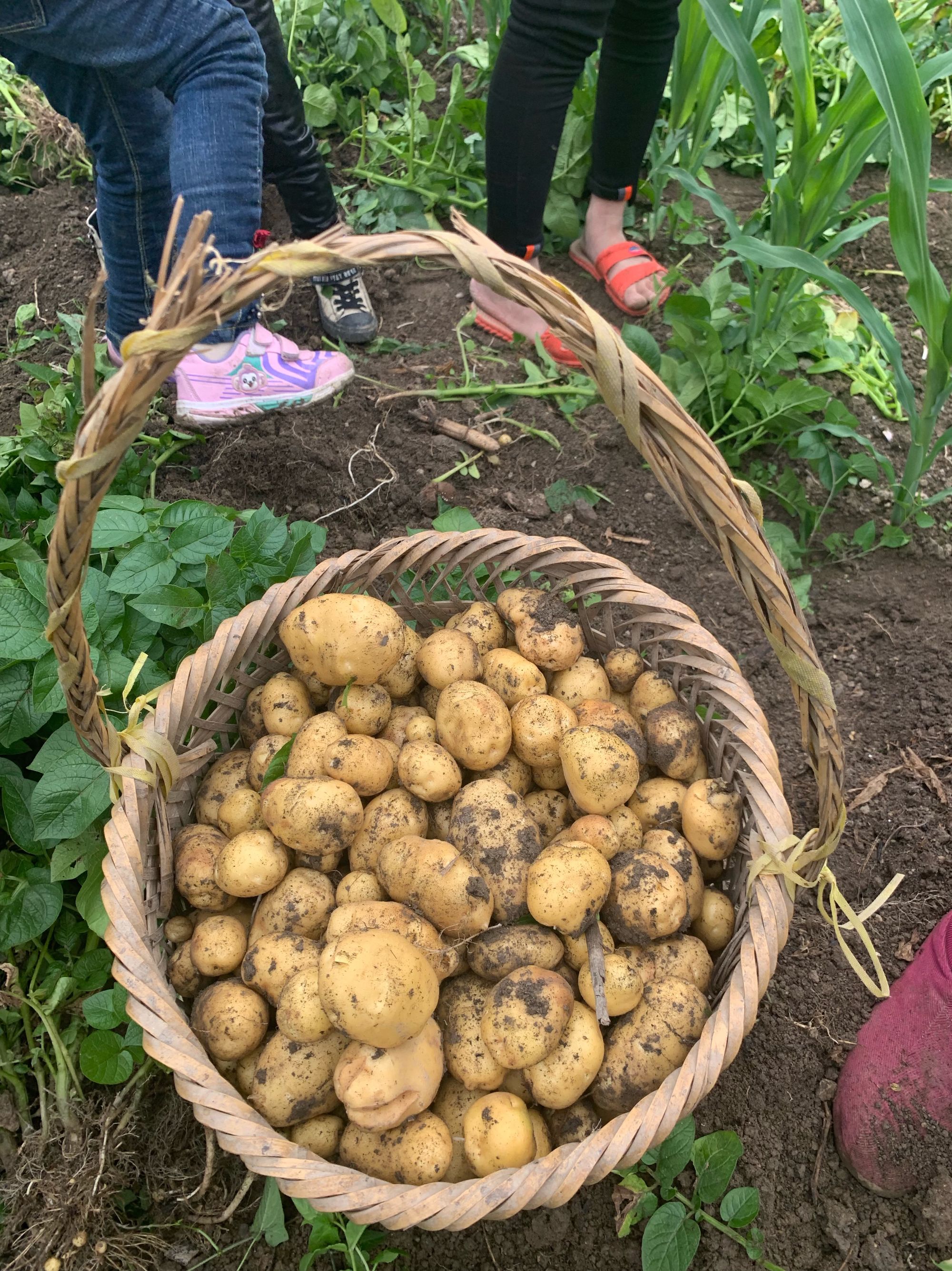 王治伦补硒公益(刘延宁科学补硒健康中国)-硒宝网