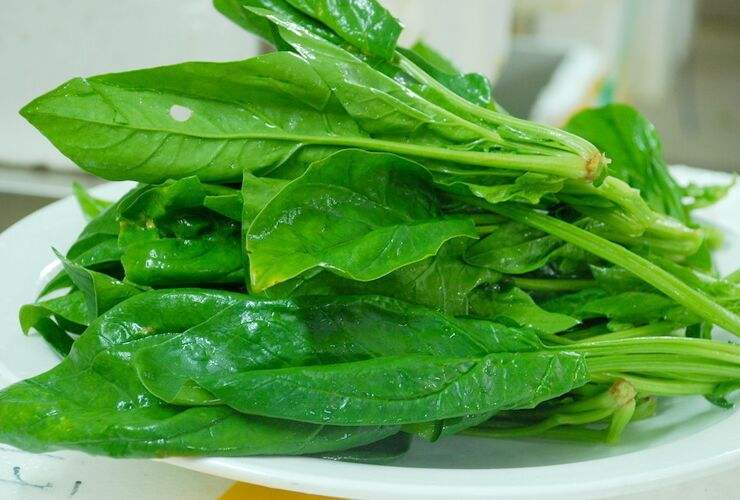 补硒还是大蒜素(大蒜硒的功效)-硒宝网