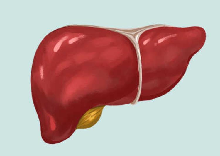 硒补多了伤肝吗(补硒对肝病有效吗)-硒宝网