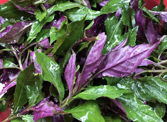 硒补多了伤肝吗(补硒对肝病有效吗)-硒宝网