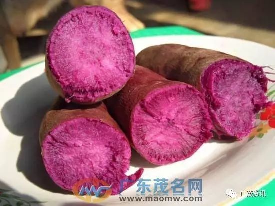 紫薯补硒有用吗(紫薯含硒量高吗)-硒宝网
