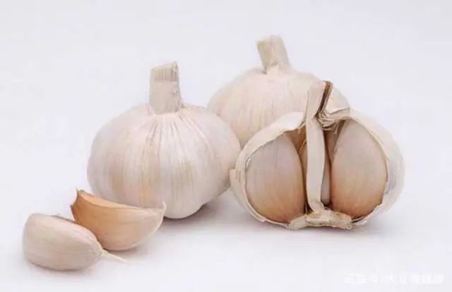 补硒元素有用吗（硒元素能随便补吗）-硒宝网