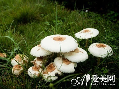 钙磷硒二十八补(钙铁锌磷硒分别有什么作用)-硒宝网