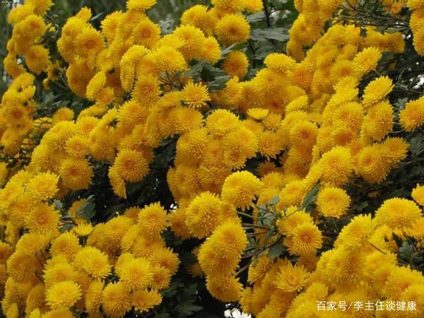 硒补多了伤肝吗(补硒肝脏)-硒宝网