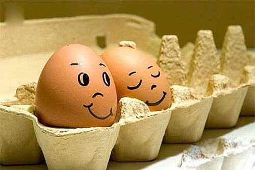 鸡蛋黄能补硒吗（鸡蛋能补黄硒嘛）-硒宝网