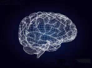 钙锌硒能同补吗(钙锌硒维生素)-硒宝网