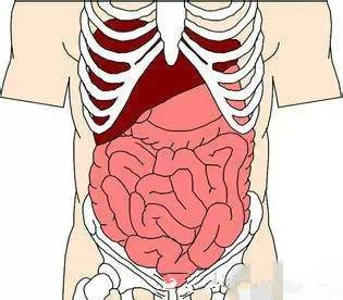 钙锌硒能同补吗(钙锌硒维生素)-硒宝网