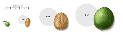 鱼鳞病能补硒吗（鱼鳞有补钙的功效吗）-硒宝网