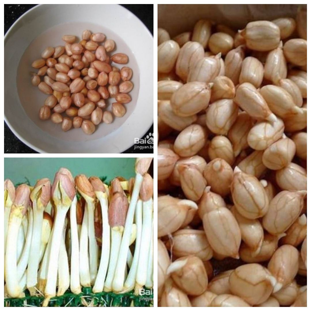 花生米能补硒吗（花生硒）-硒宝网