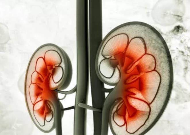 一年可补几次硒（补硒能干嘛）-硒宝网