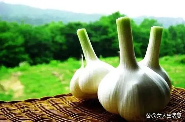 大蒜油能补硒吗（大蒜能补油硒吗怎么吃）-硒宝网