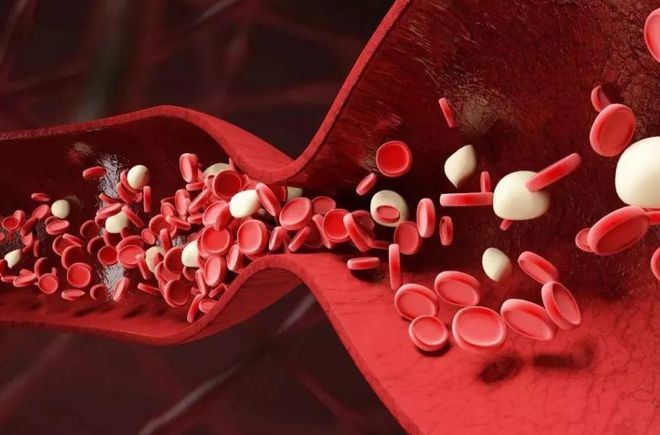 硒要补多长时间(硒一般补多长时间不过量)-硒宝网