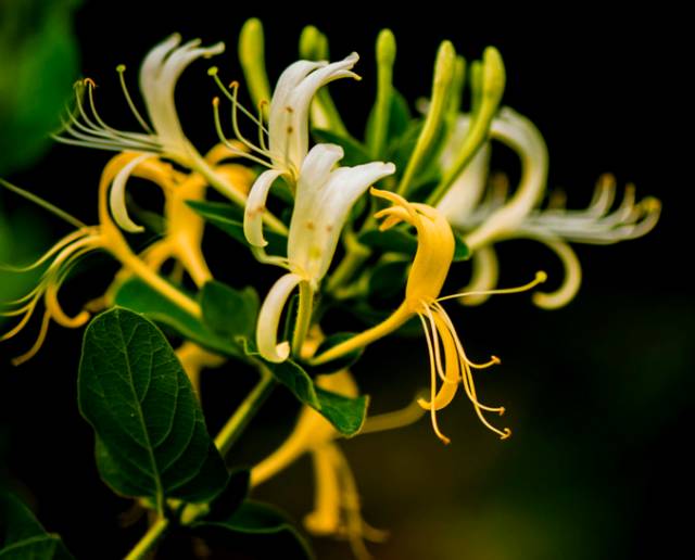 感冒了补两个硒(补硒可以预防感冒吗)-硒宝网