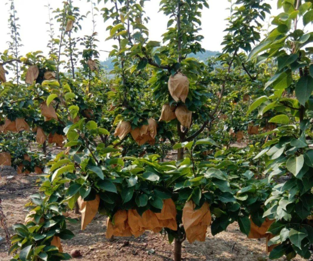 白血病患者补硒（得了白血病吃硒还有用吗）-硒宝网