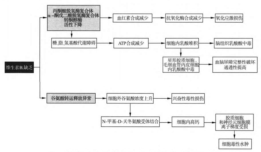 吃善存能补硒吗(善存片中的硒是什么硒)-硒宝网