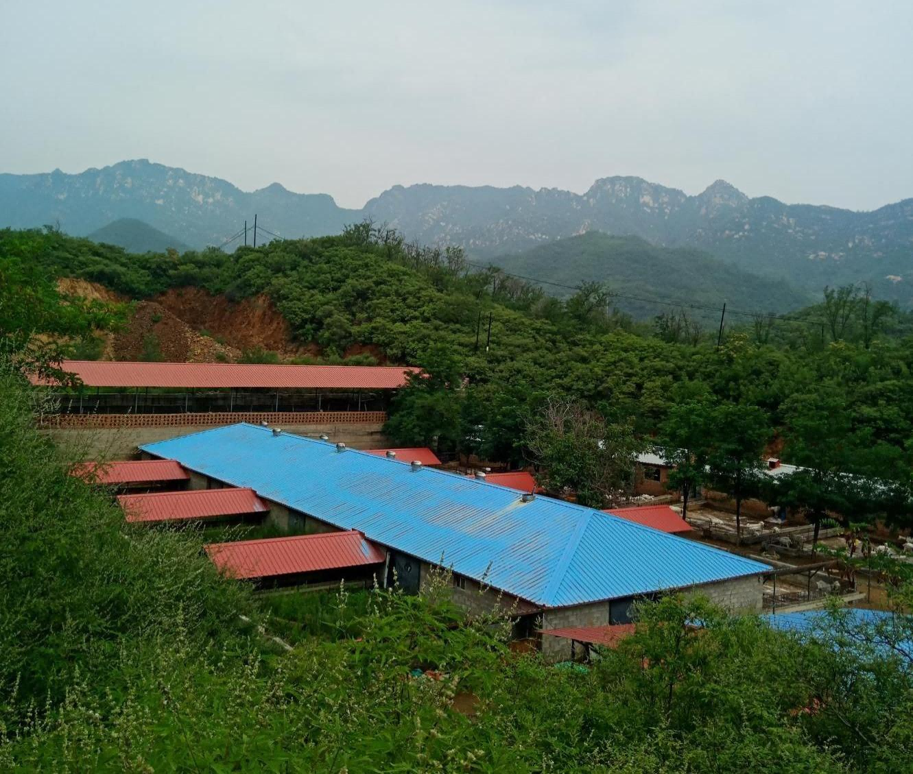 科学补硒7周年(科学补硒口号)-硒宝网