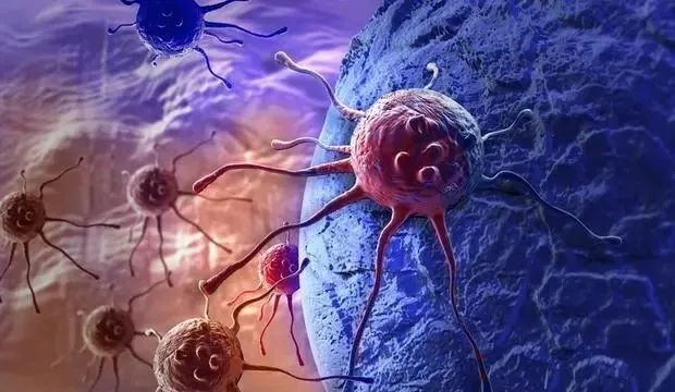 全国人大 补硒(全国人民补硒)-硒宝网