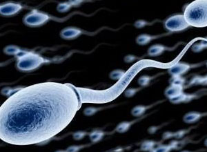 吃西蓝花补硒吗(西兰花硒含量是多少)-硒宝网