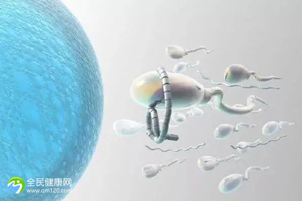 吃西蓝花补硒吗(西兰花硒含量是多少)-硒宝网