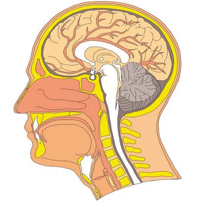 补硒2天掉头发(补硒对脱发有效果吗)-硒宝网