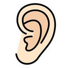 补硒2天掉头发(补硒对脱发有效果吗)-硒宝网