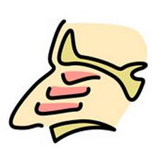 补硒2天掉头发(补硒对脱发有效果吗)-硒宝网