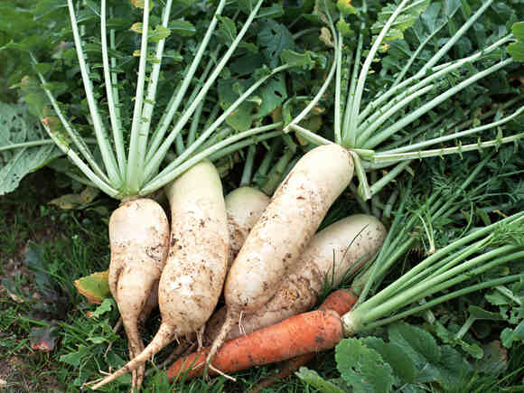 银屑病能补硒吗（硒银屑?。?硒宝网