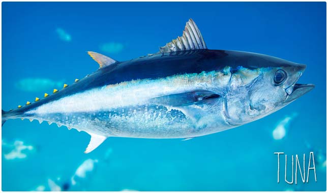 吃燕麦片补硒吗(燕麦片含硒元素吗)-硒宝网