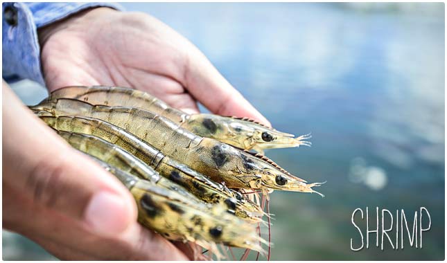 吃燕麦片补硒吗(燕麦片含硒元素吗)-硒宝网