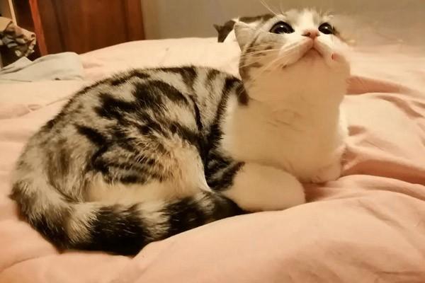 补维生素e和硒(补充维生素e硒)-硒宝网