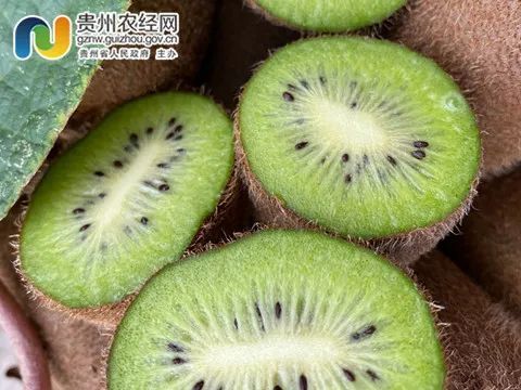 吃猕猴桃补硒吗（猕猴桃有硒元素吗）-硒宝网